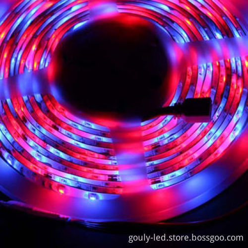 LED Strip, SMD3528, IP20, 5M/Reel